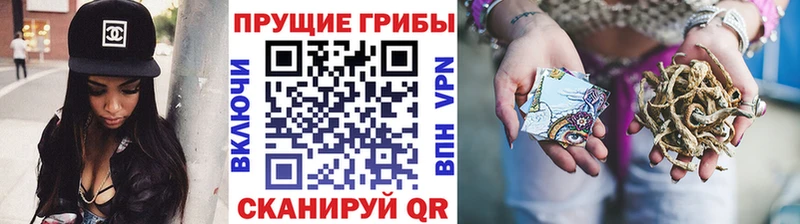 Псилоцибиновые грибы прущие грибы  даркнет сайт  Нижний Тагил 